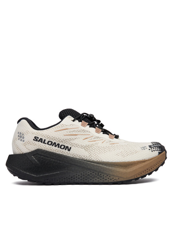 Salomon Buty do biegania Aero Blaze 4 gtx GORE-TEX L45403200 Beżowy