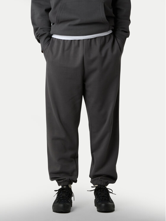 The North Face Spodnie dresowe Expedition Celebration NF0A8E3E Szary Relaxed Fit