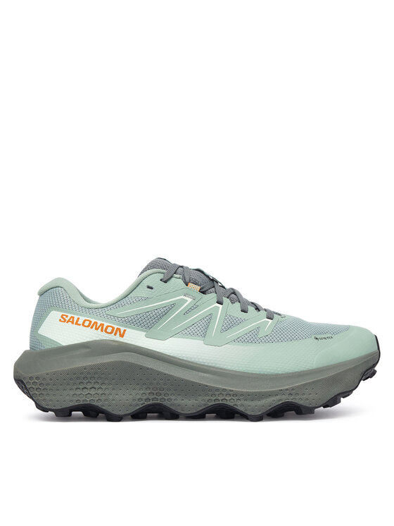 Salomon Buty do biegania Ultra Flow 2 Gtx GORE-TEX L45473900 Zielony